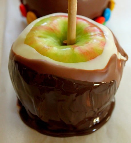 Chocolate Dipped Apples coated in white, milk, and dark chocolate.