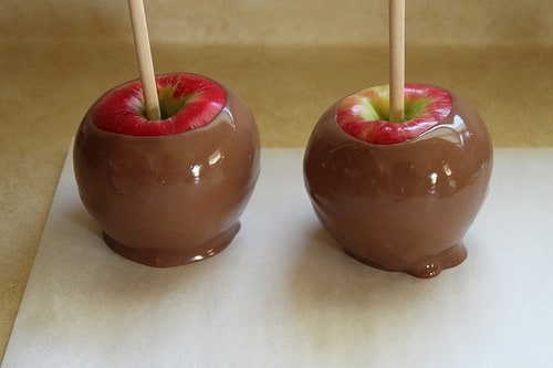 Two apples dipped in milk chocolate.