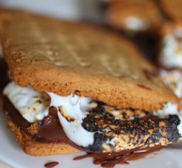 Gluten-Free s'more on white plate.
