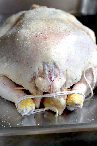 Raw chicken, tied with cooking twine, in a roasting pan.