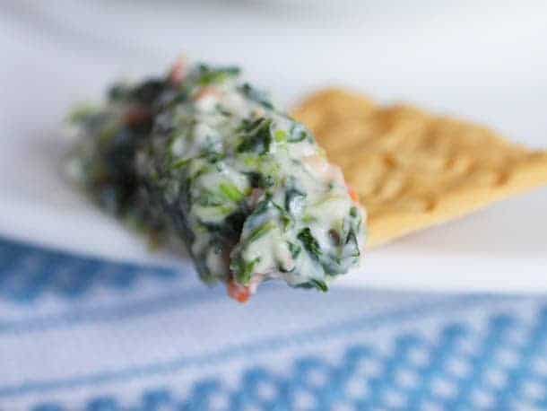 Gluten-free spinach dip on cracker.