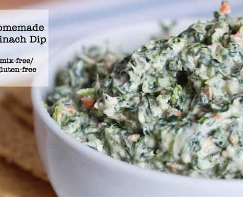 DIY Gluten Free Onion Soup Mix + bonus Spinach Dip Recipe