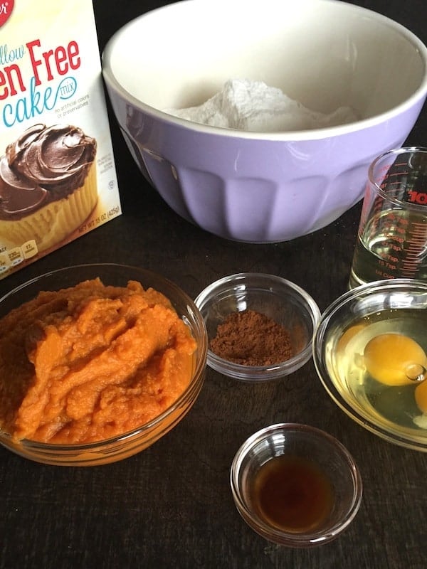 Easy Gluten-Free Pumpkin Cake ingredients.