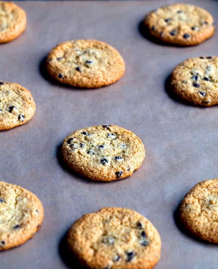 Paleo Chocolate Chip Cookies on a baking sheet.