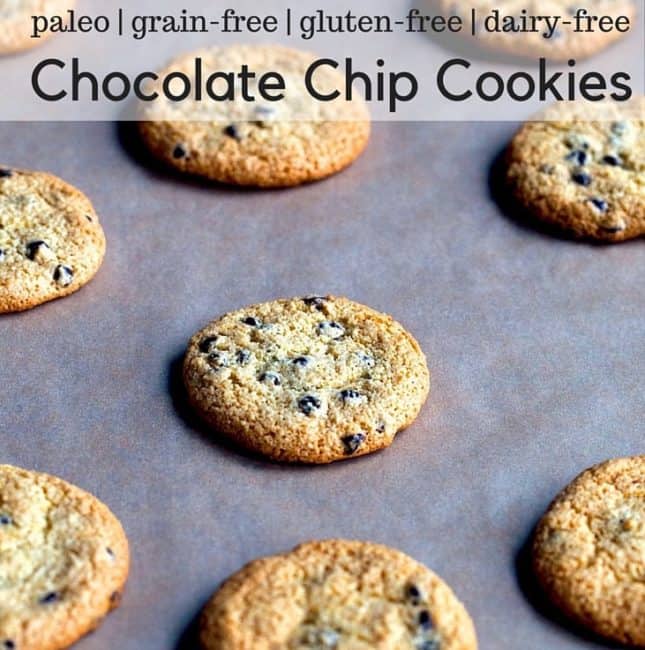 Paleo Chocolate Chip Cookie Recipe