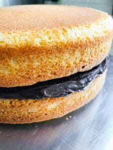 Two layers of gluten-free yellow cake sandwiched together with chocolate frosting