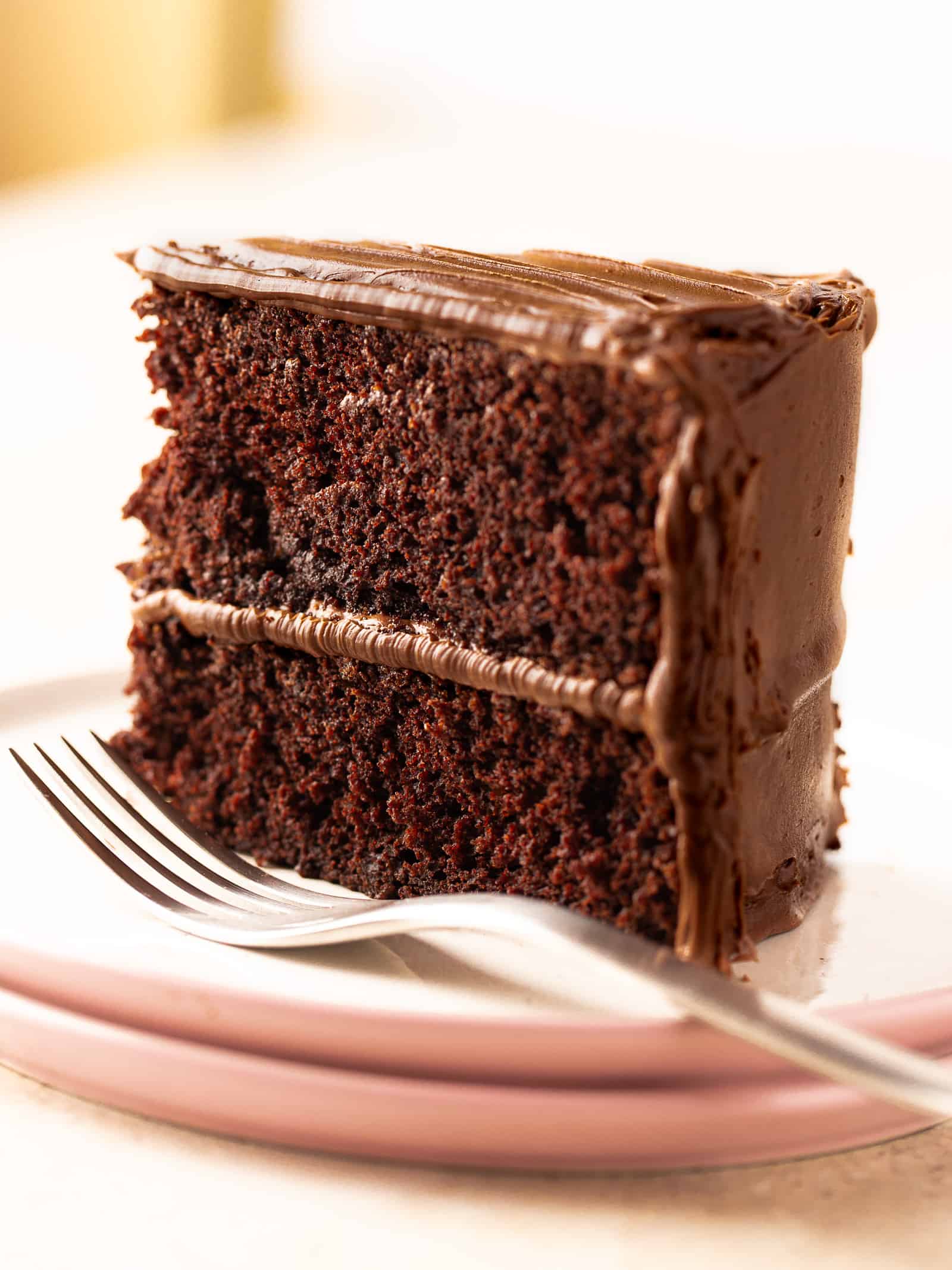 Gluten-free chocolate cake slice with chocolate frost on plate.