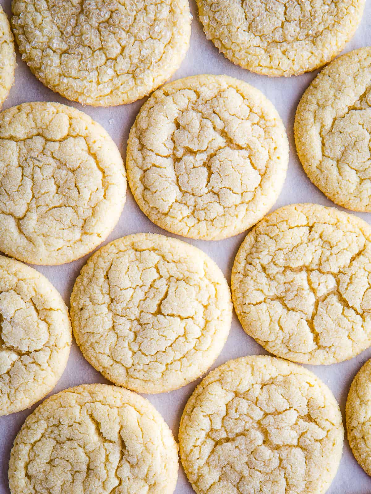 Baked gluten-free sugar cookies on parchment paper.