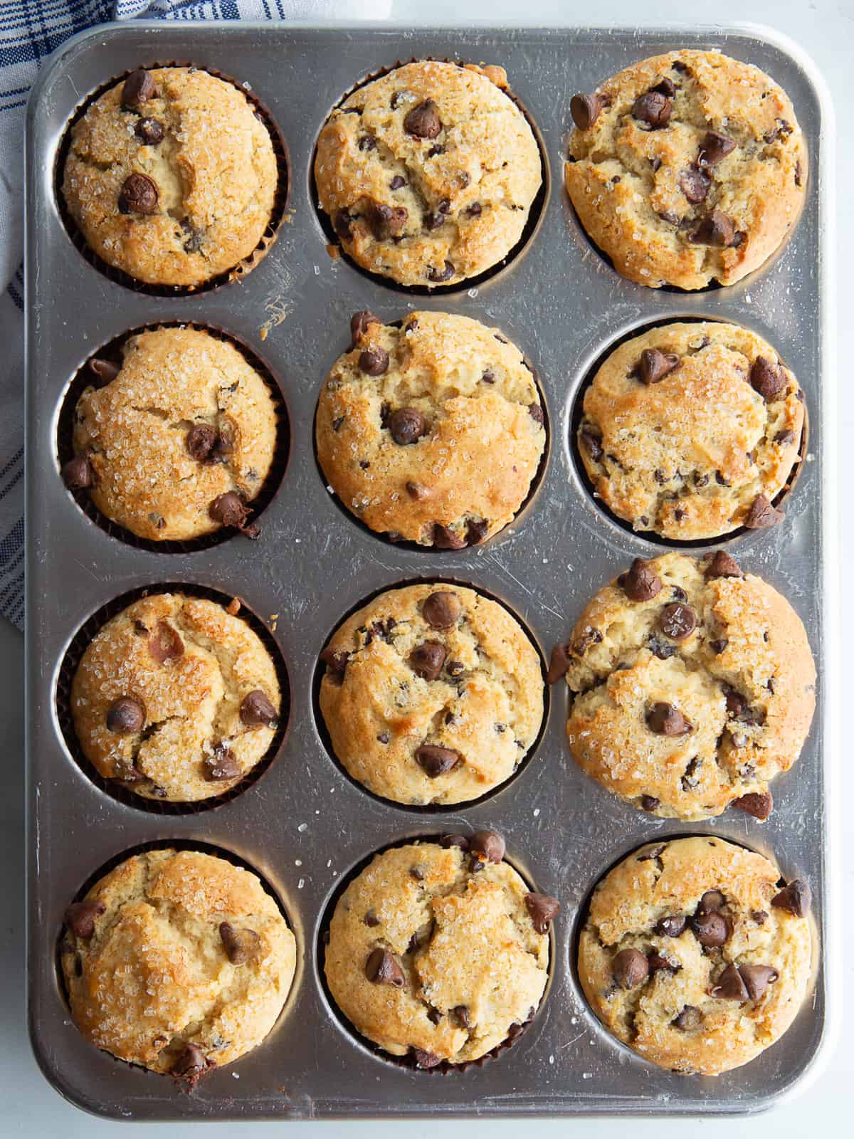 Gluten-free chocolate chip muffins cooling in a muffin pan.