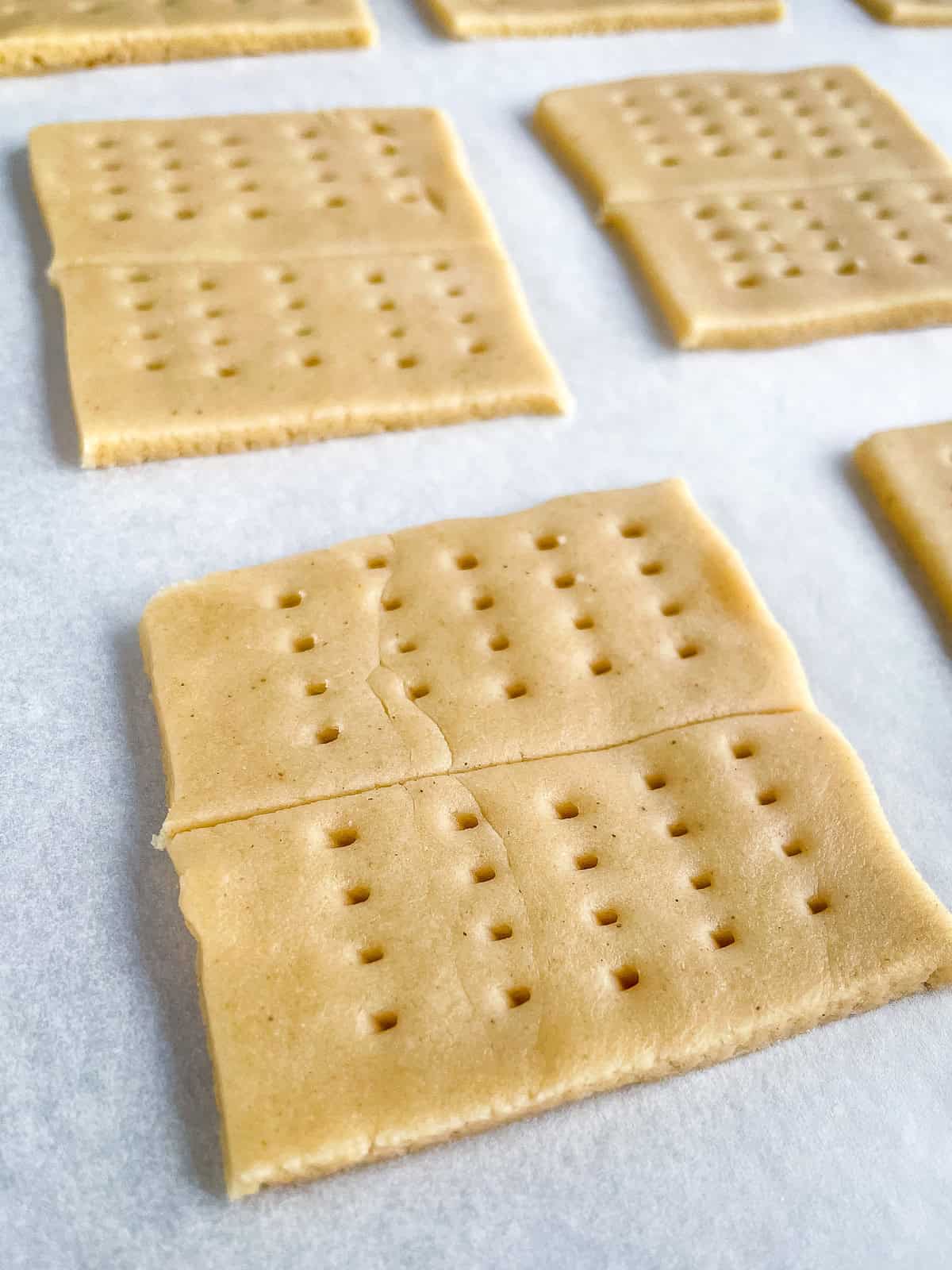Gluten-free graham cracker dough square, dotted with holes, on a baking sheet.