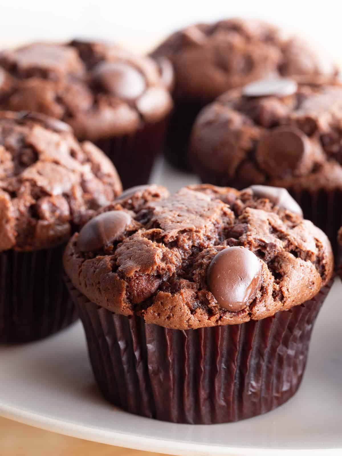 Gluten-free chocolate muffins, topped with chocolate chips, sit on a plate.