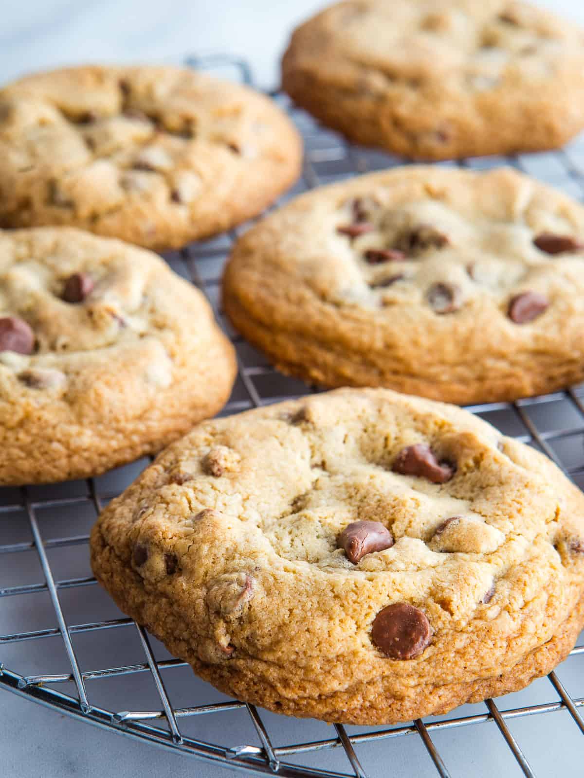 Bakery Style Gluten Free Chocolate Chip Cookies Gluten Free Baking